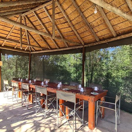 Hotel The Wild Olive Tree Camp Welverdiend  Exteriér fotografie