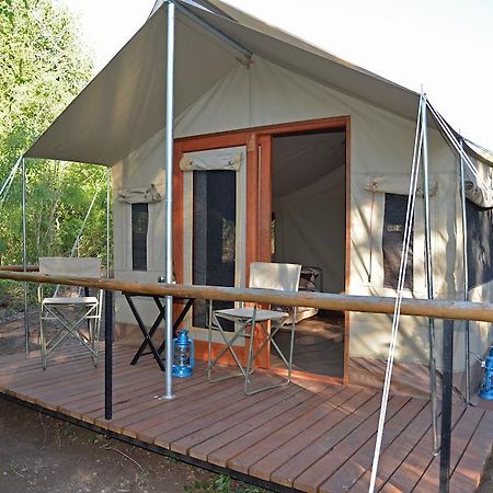 Hotel The Wild Olive Tree Camp Welverdiend  Pokoj fotografie