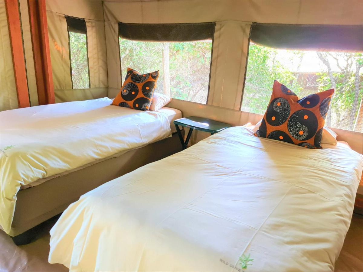 Hotel The Wild Olive Tree Camp Welverdiend  Exteriér fotografie