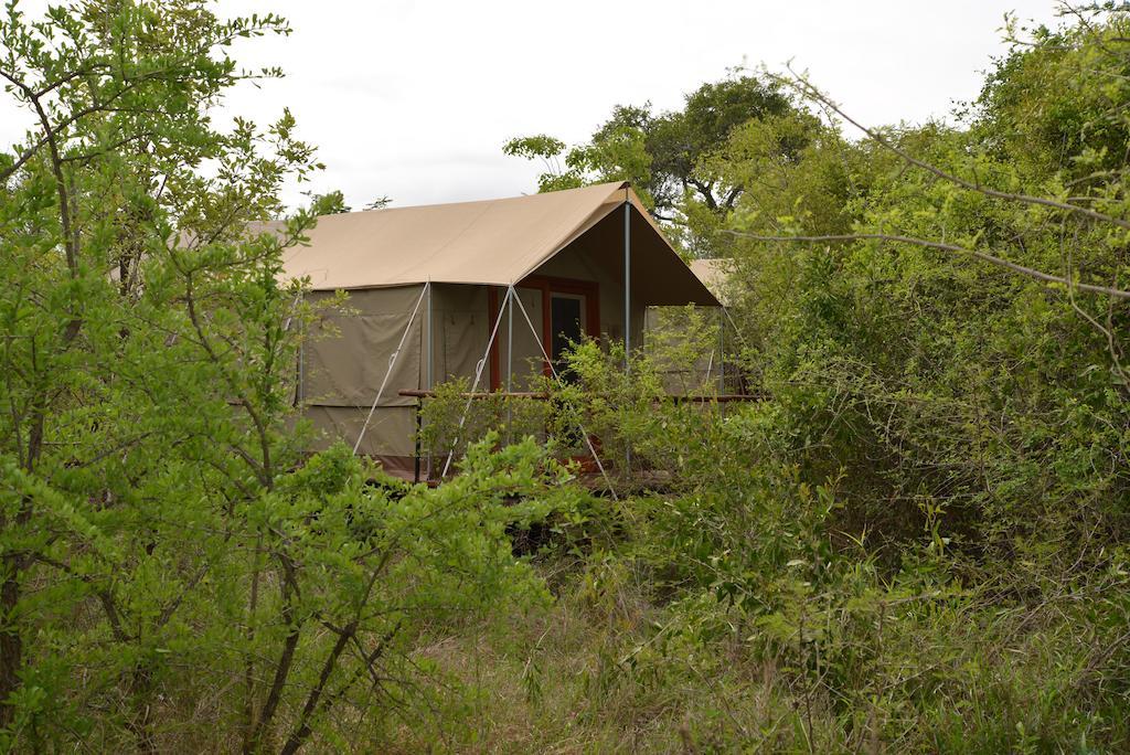 Hotel The Wild Olive Tree Camp Welverdiend  Exteriér fotografie